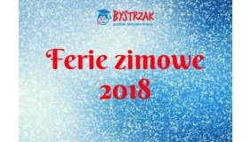 Półkolonie zimowe w Szkole Podstawowej nr 53