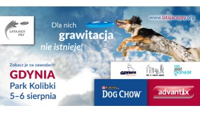 Zawody Latających Psów w Gdyni