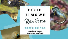 Ocean i ludzie - ferie w Akwarium