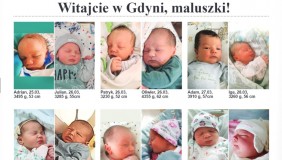 Witajcie w Gdyni, maluszki! - nowa rubryka w Ratuszu