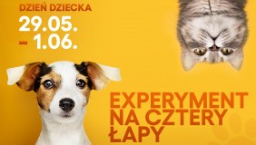 Experyment na cztery łapy 29.05 - 01.06